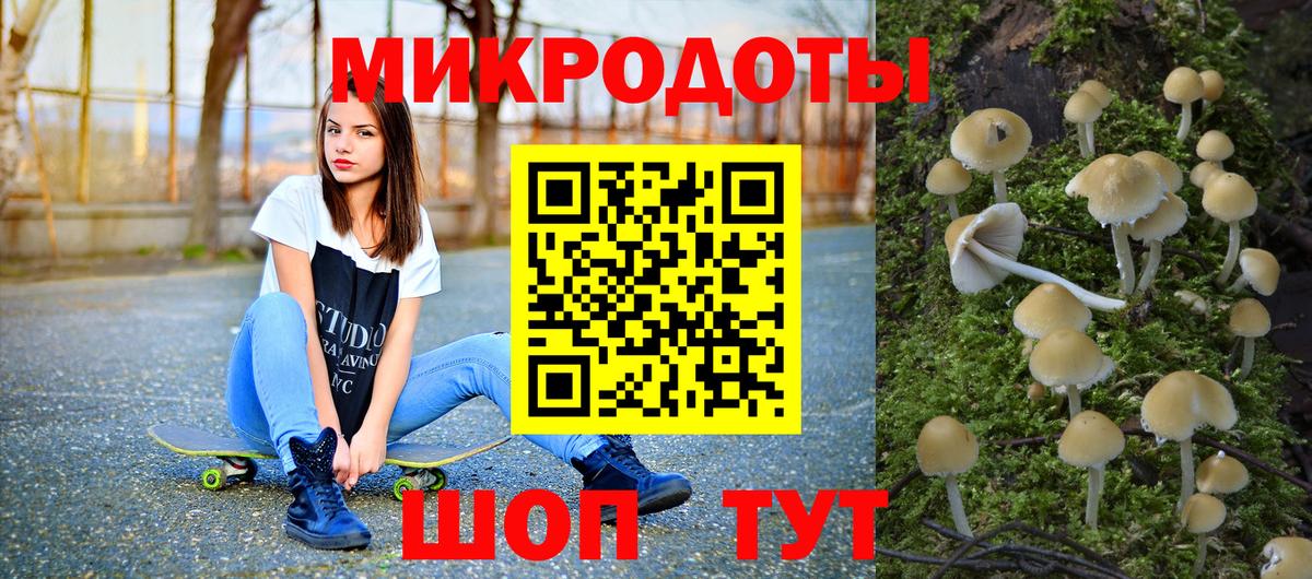Туапсе  Псилоцибиновые грибы Cubensis  Псилоцибиновые грибы Cubensis  Вход с VPN 